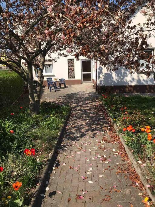 Apartmán Auf Dem Land Und Doch Ganz Nah Krolpa Exteriér fotografie